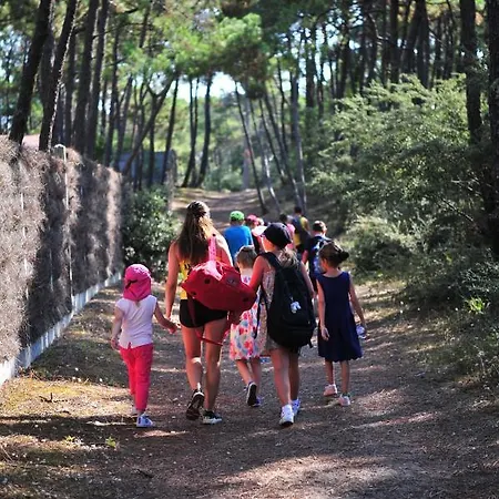 Le Clos Des Pins Kamp alanı